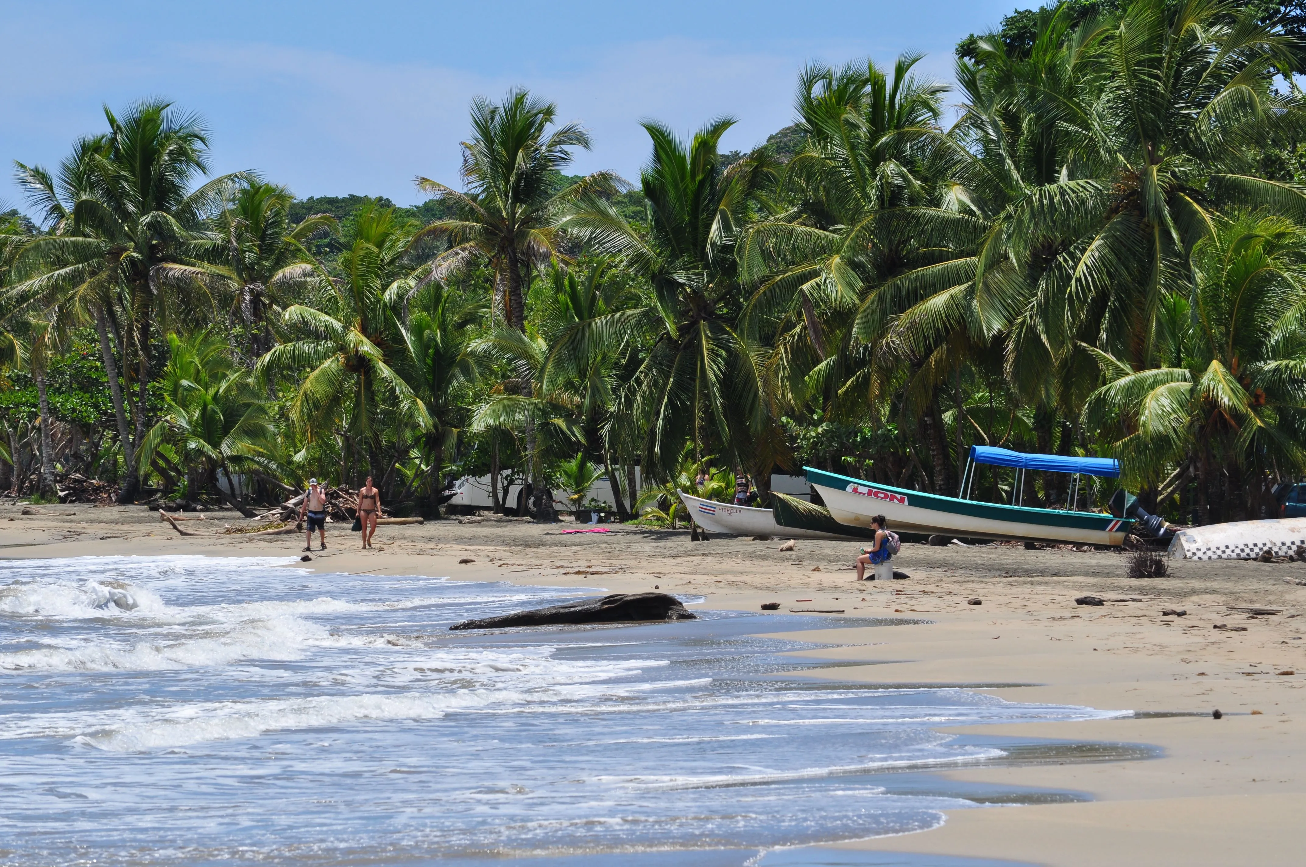 Puerto Limón Panorama
